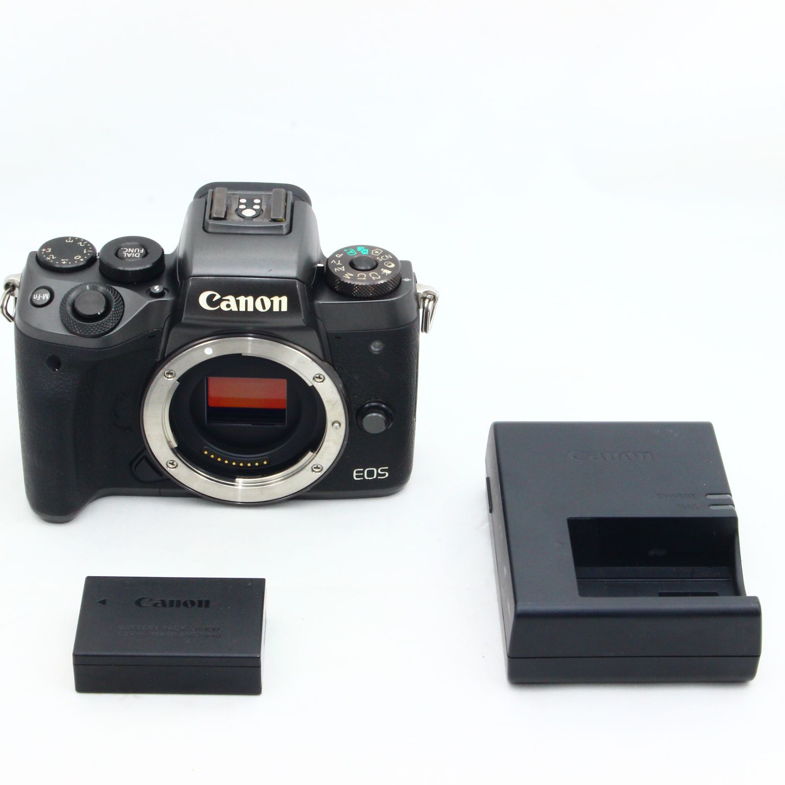 ギフト/プレゼント/ご褒美] Canon ミラーレス一眼カメラ EOS M5 ...