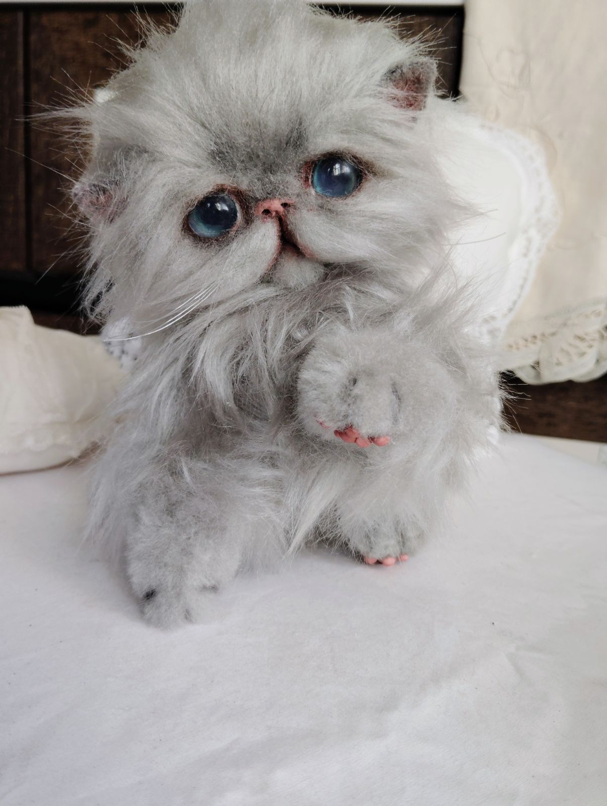 ふわふわグレー エキゾチックロングヘア子猫ちゃん