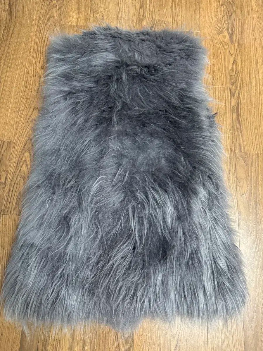 ファビオガバッツィ