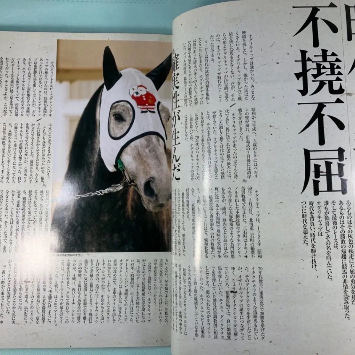 値下げ！新品！JRA競馬ディープ、オグリ、ナリタブライアン、トウカイテイオー名馬 img_f91584551a3324aec007e38570