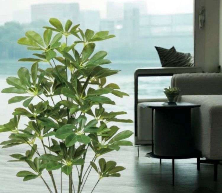 2024 光触媒 人工観葉植物 ウォールグリーン フェイクグリーン