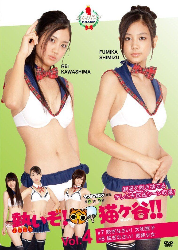 熱いぞ!猫ヶ谷!!Vol.4 DVD