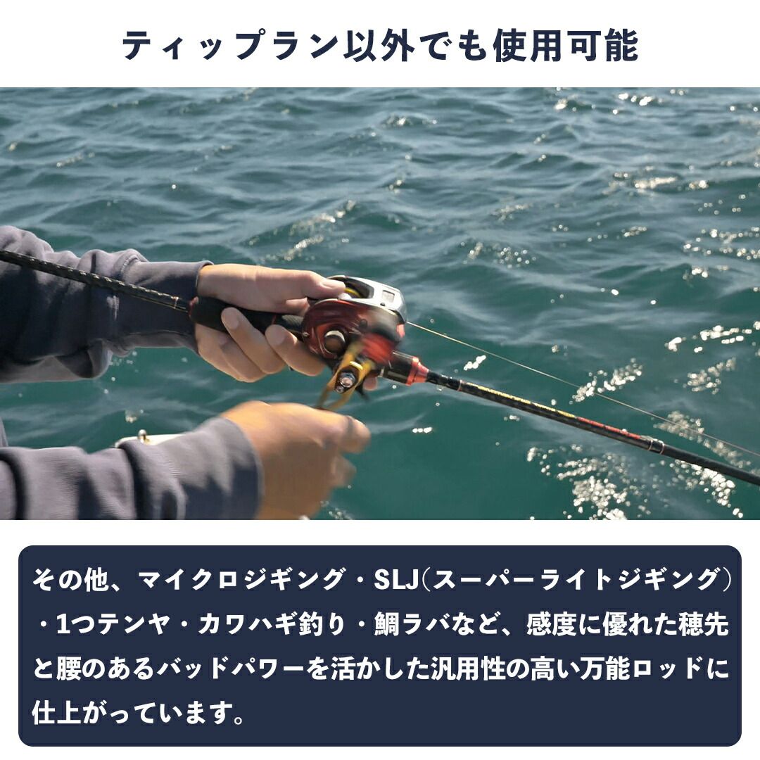 あおりねっと スクイッドライド M66（メタルティップ搭載） べ