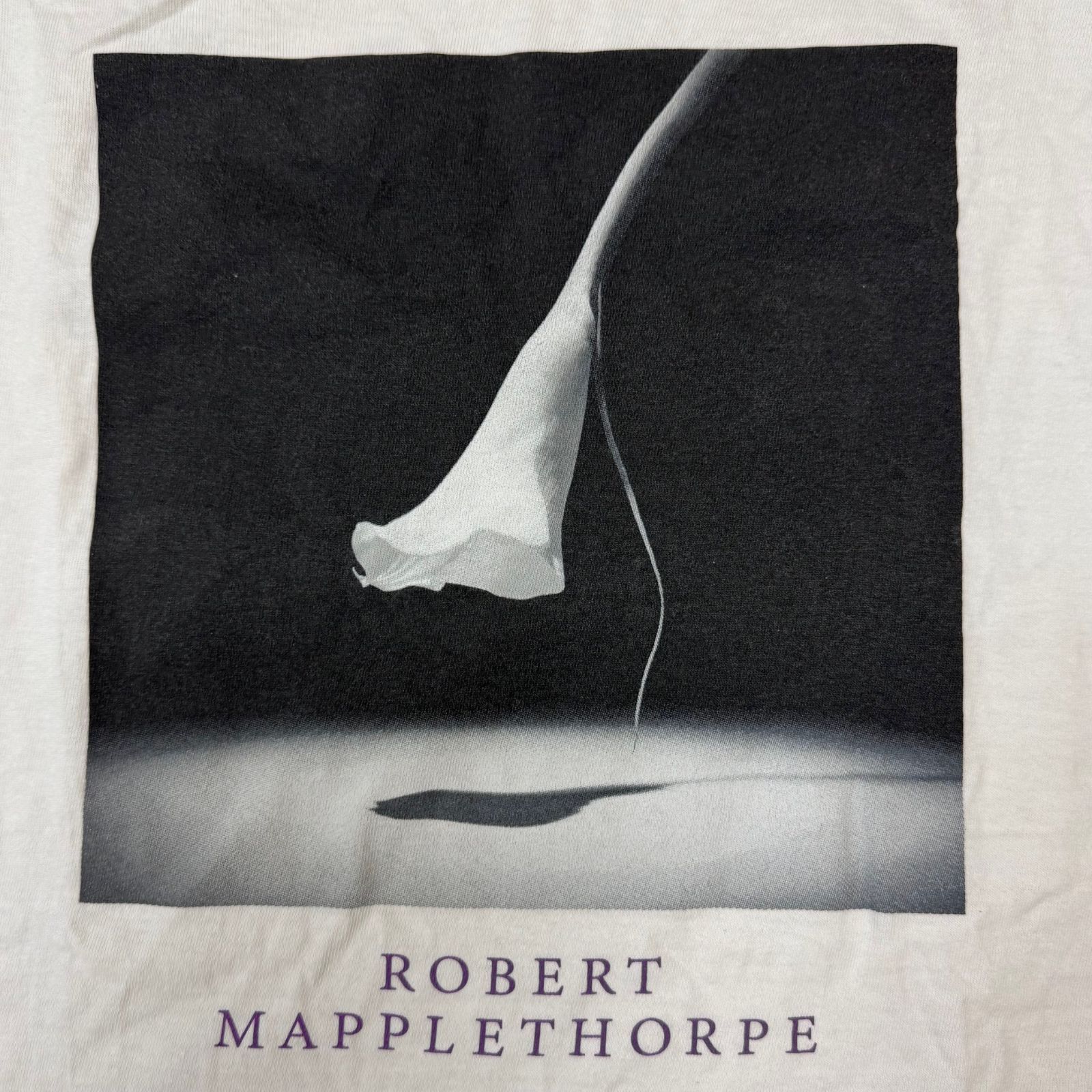 セントマイケル25SS新作Robert Mapplethorpeコラボ半袖XL MT_SS TEE / PICTURES / WHITE - SAINT MXXXXXX (セントマイケル