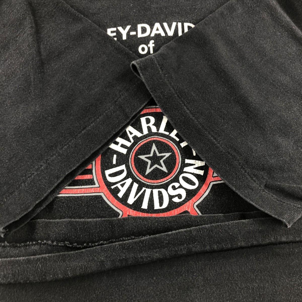 古着 ~90年代 ハーレーダビッドソン Harley-Davidson Hanes BEEFY-T 