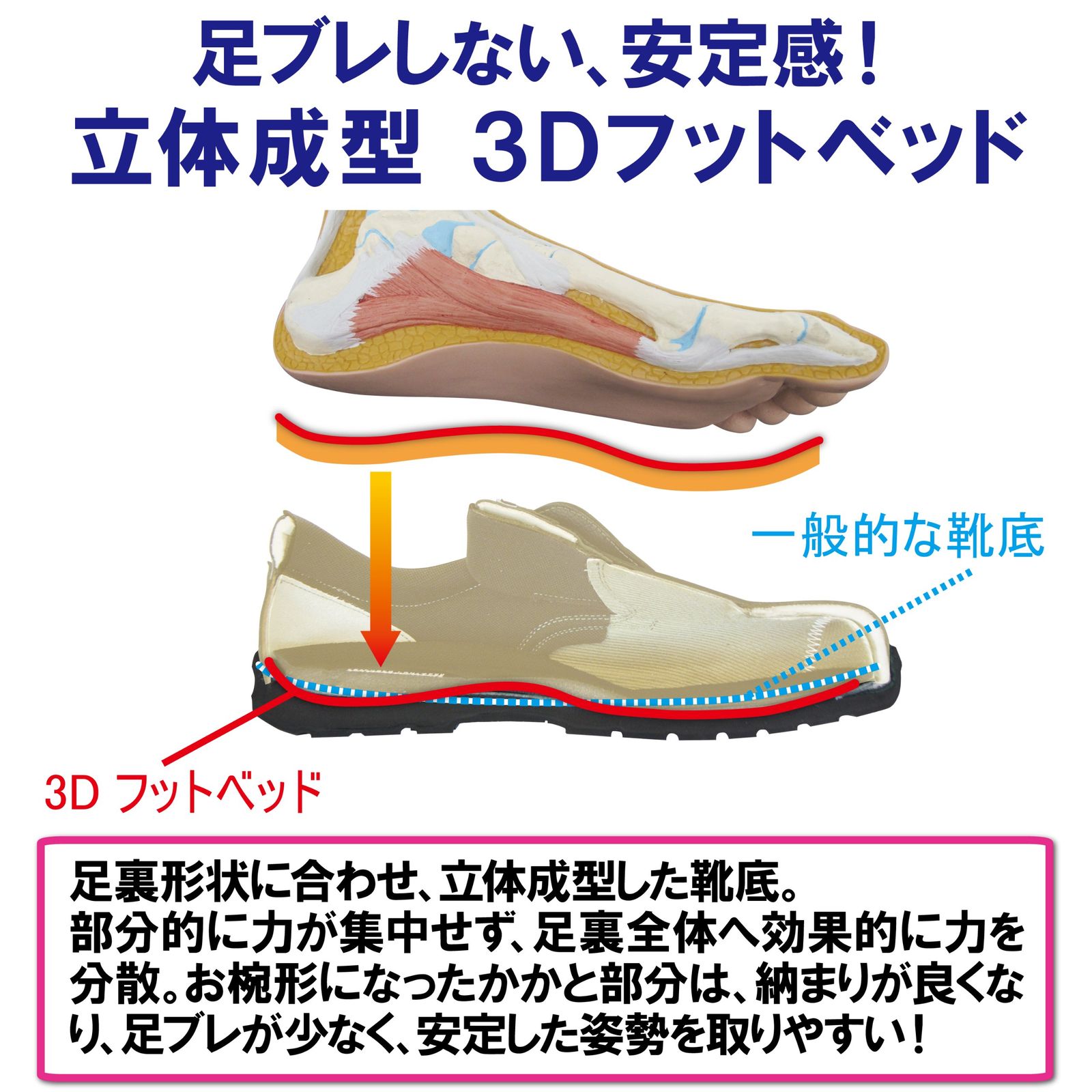 男女兼用