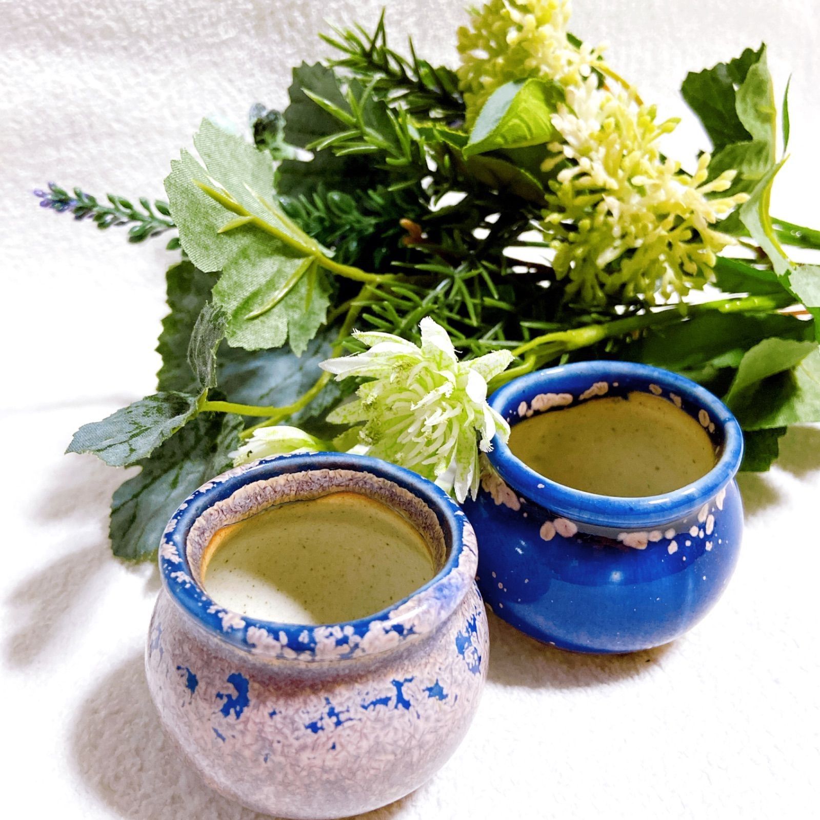 園芸用品 【お得&訳あり 青色と桃色の2色陶器製植木鉢 5点セット】多肉