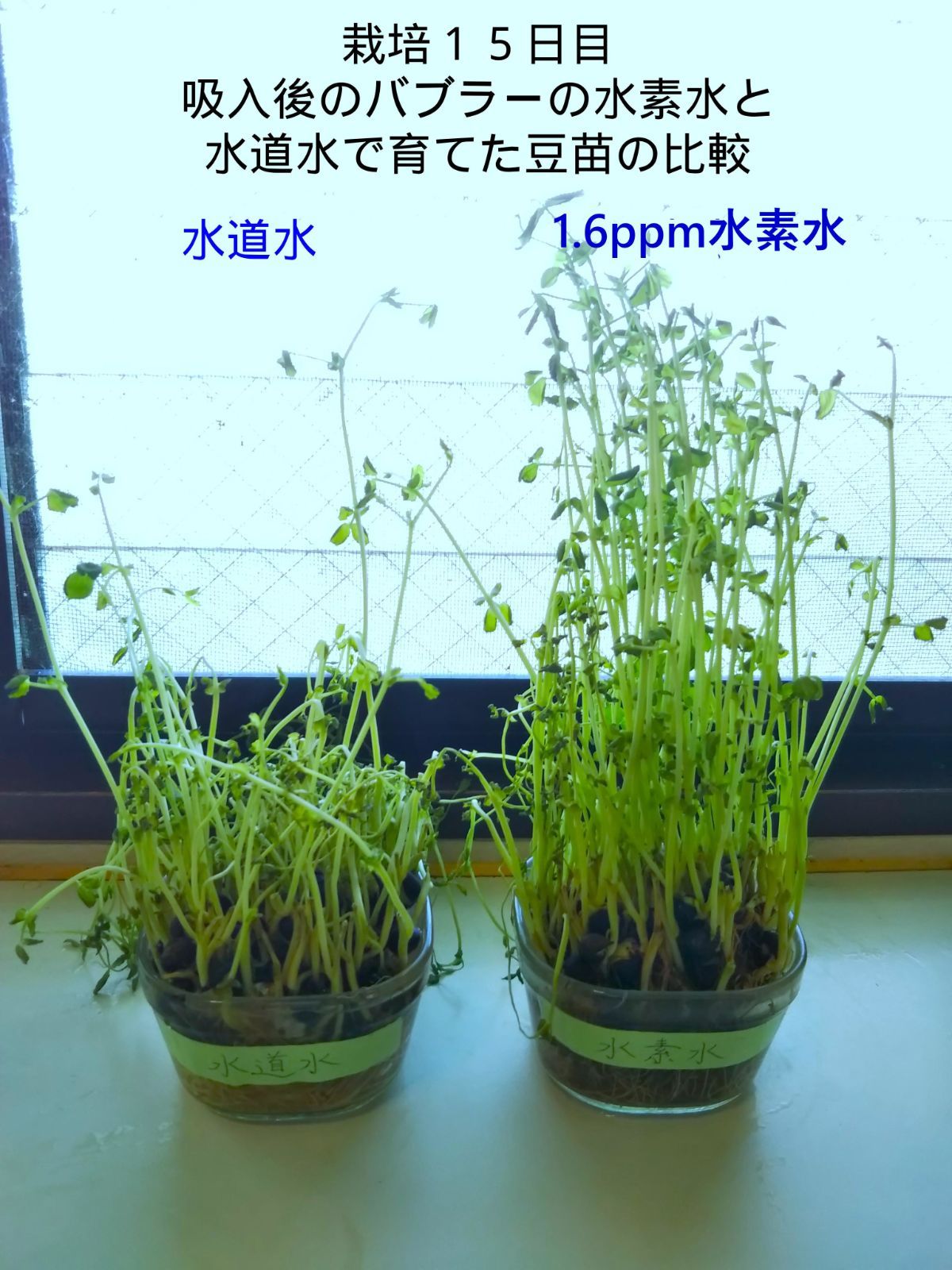 時短水素吸引 どこでも使える