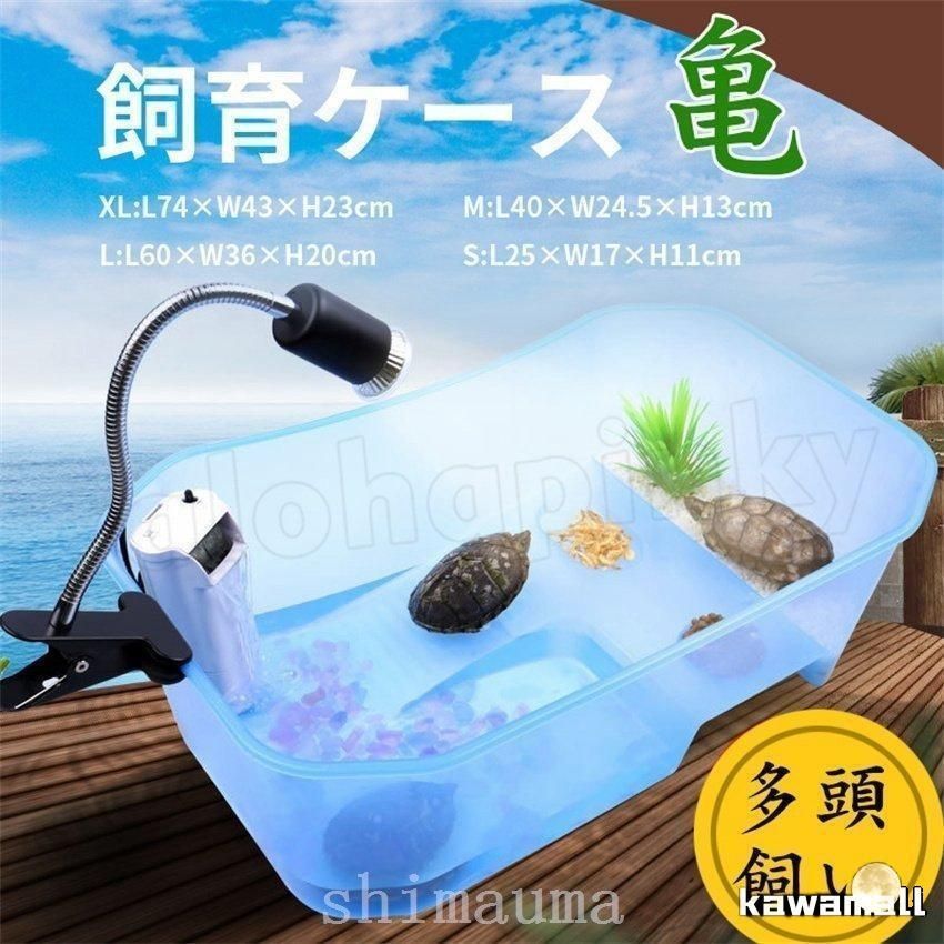 みどりかめ 限定盤3タイトルセット 亀の水槽 大きい 両生類 カメの楽園 脱出防止 飼育ケース