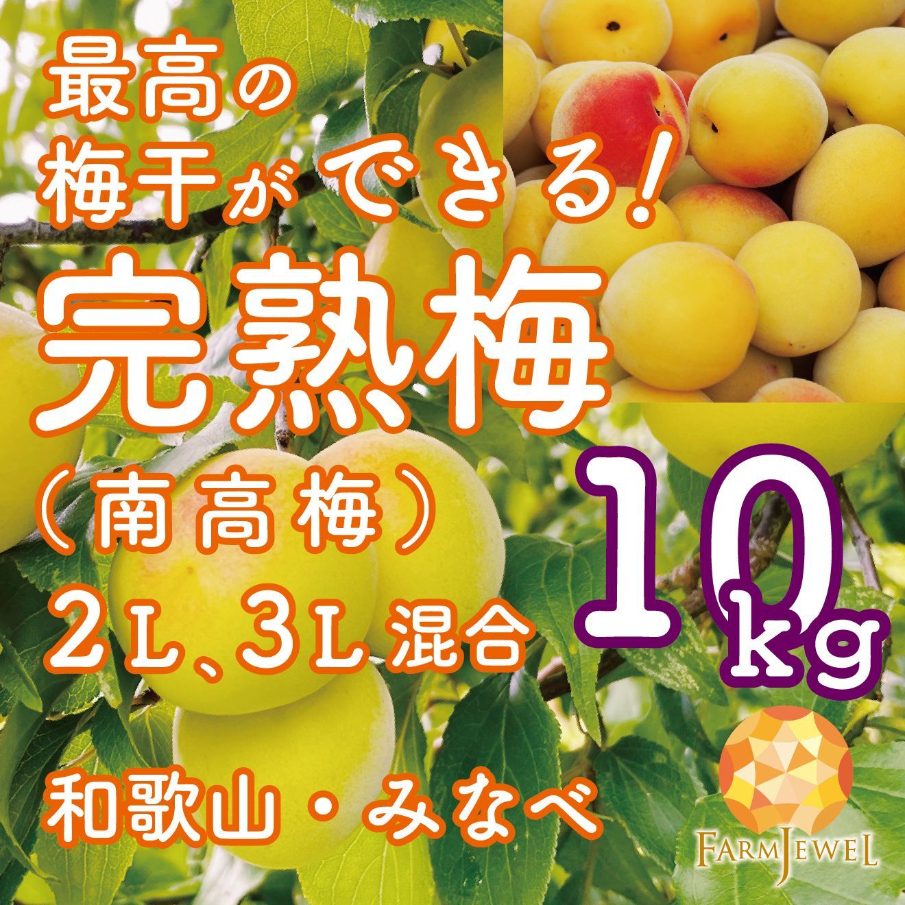 和歌山県 みなべ産 南高梅 完熟梅 梅干し 5kg 2L サイズ 3-