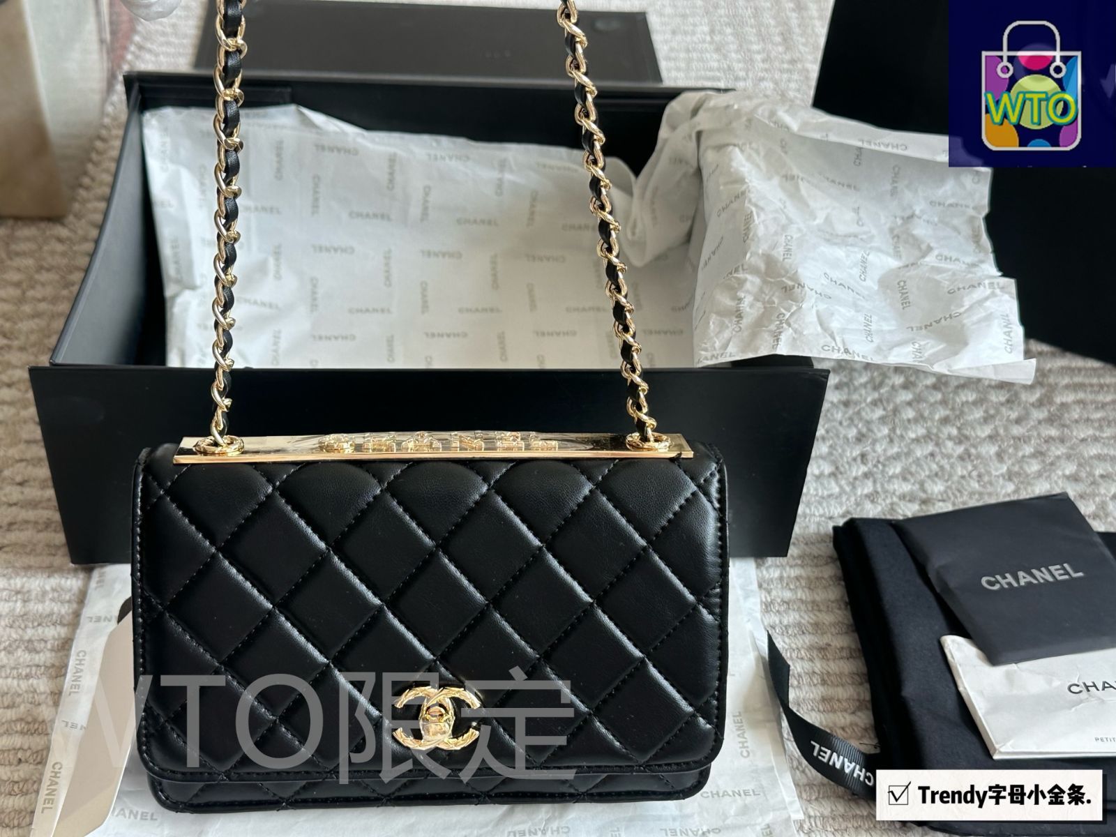 CHANEL シャネル　カタログ　カーラデルヴィーニュ　希少 CHANEL シャネルカタログカーラデルヴィーニュ希少
