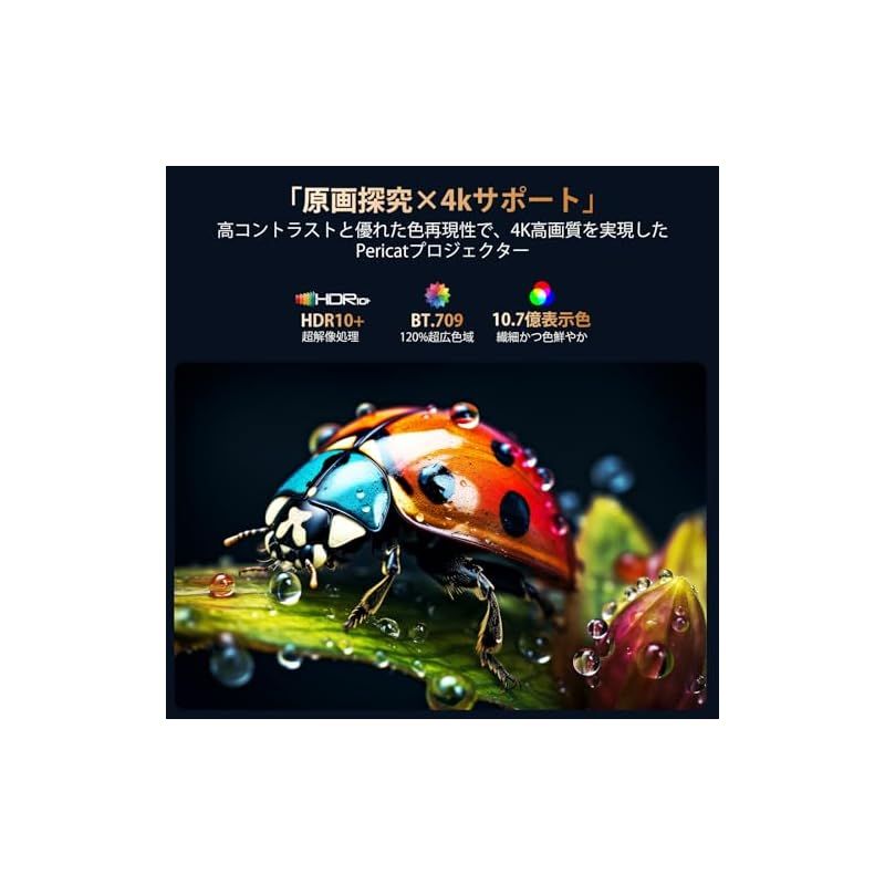 Wi-Fi6瞬間接続 天井投影