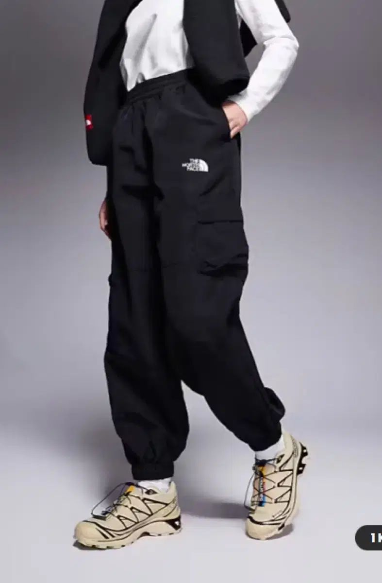 ザノースフェイス HMLYN