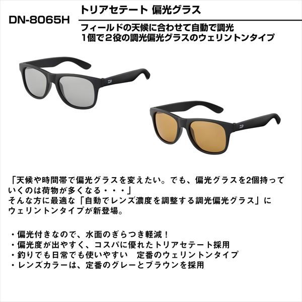 DN-8065H