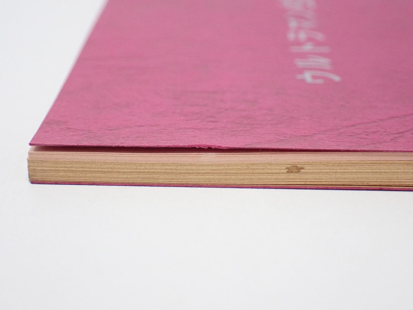 台本 ウルトラマンティガ 第4話 サ・ヨ・ナ・ラ地球 決定稿 円谷プロ