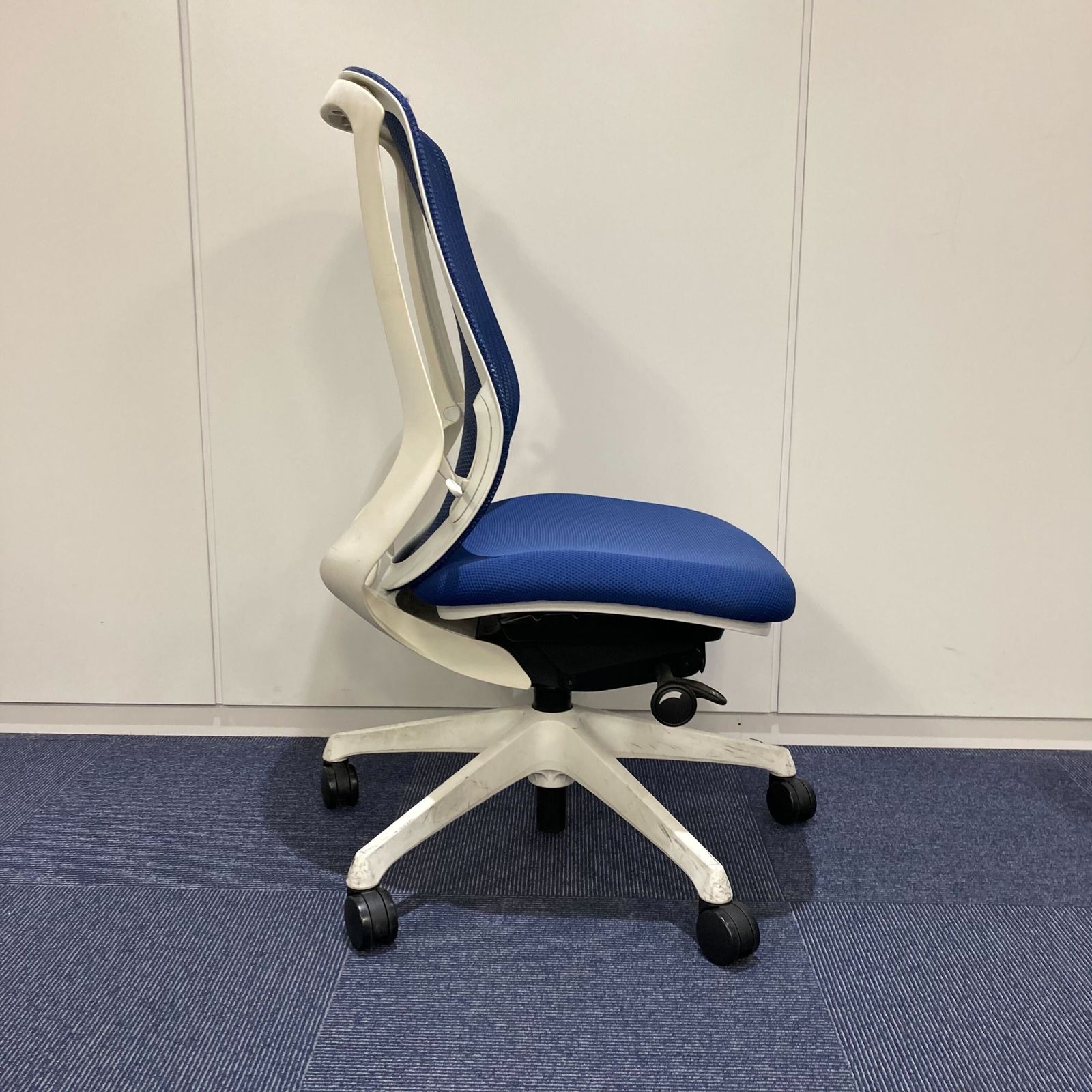 Sylphy シルフィー