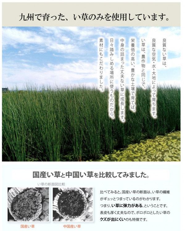 い草玄関マット