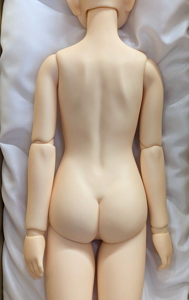 ワンオフモデル 牛若丸