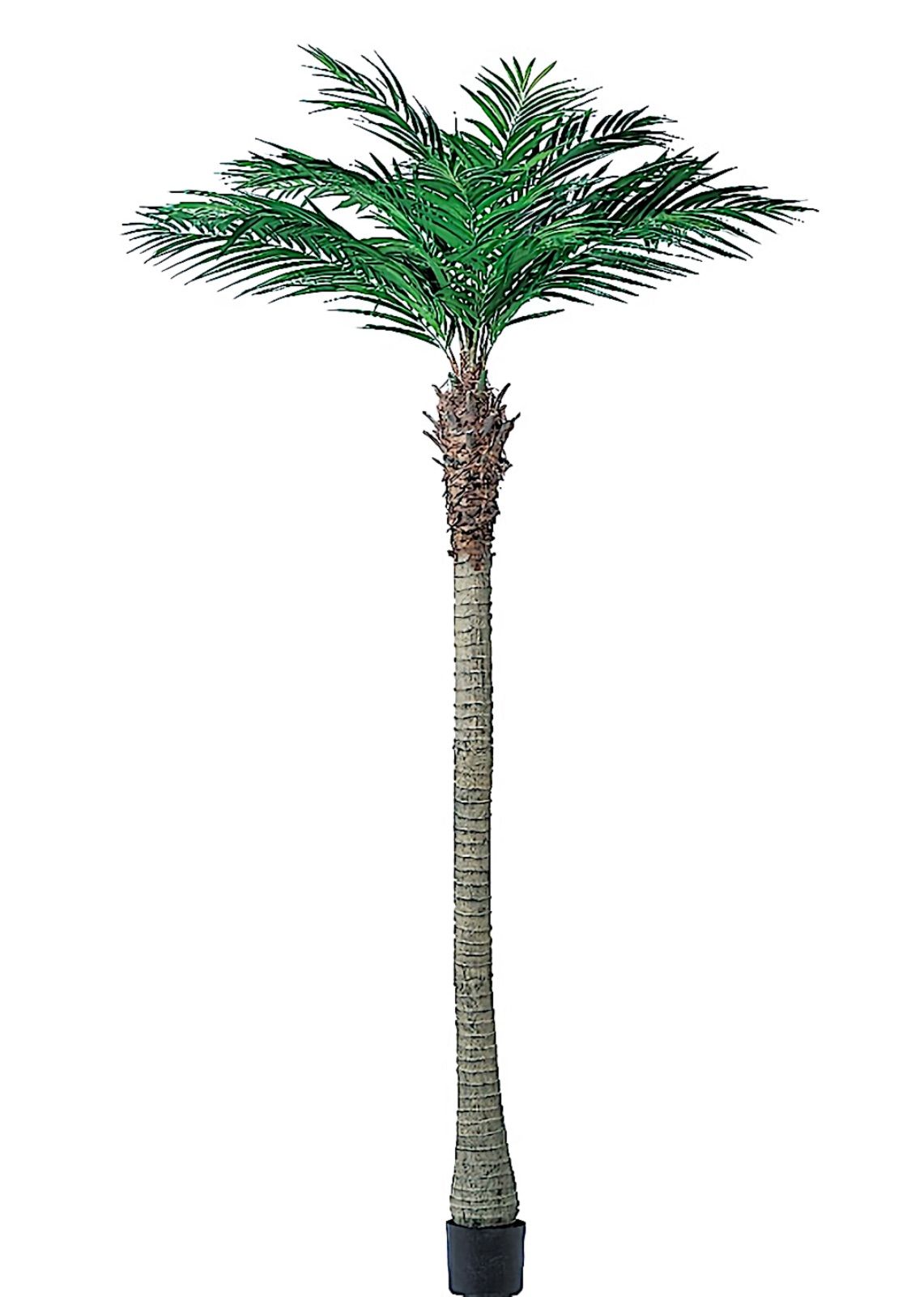 光触媒人工観葉植物ウォールグリーンフェイクグリーンアレカヤシ140145