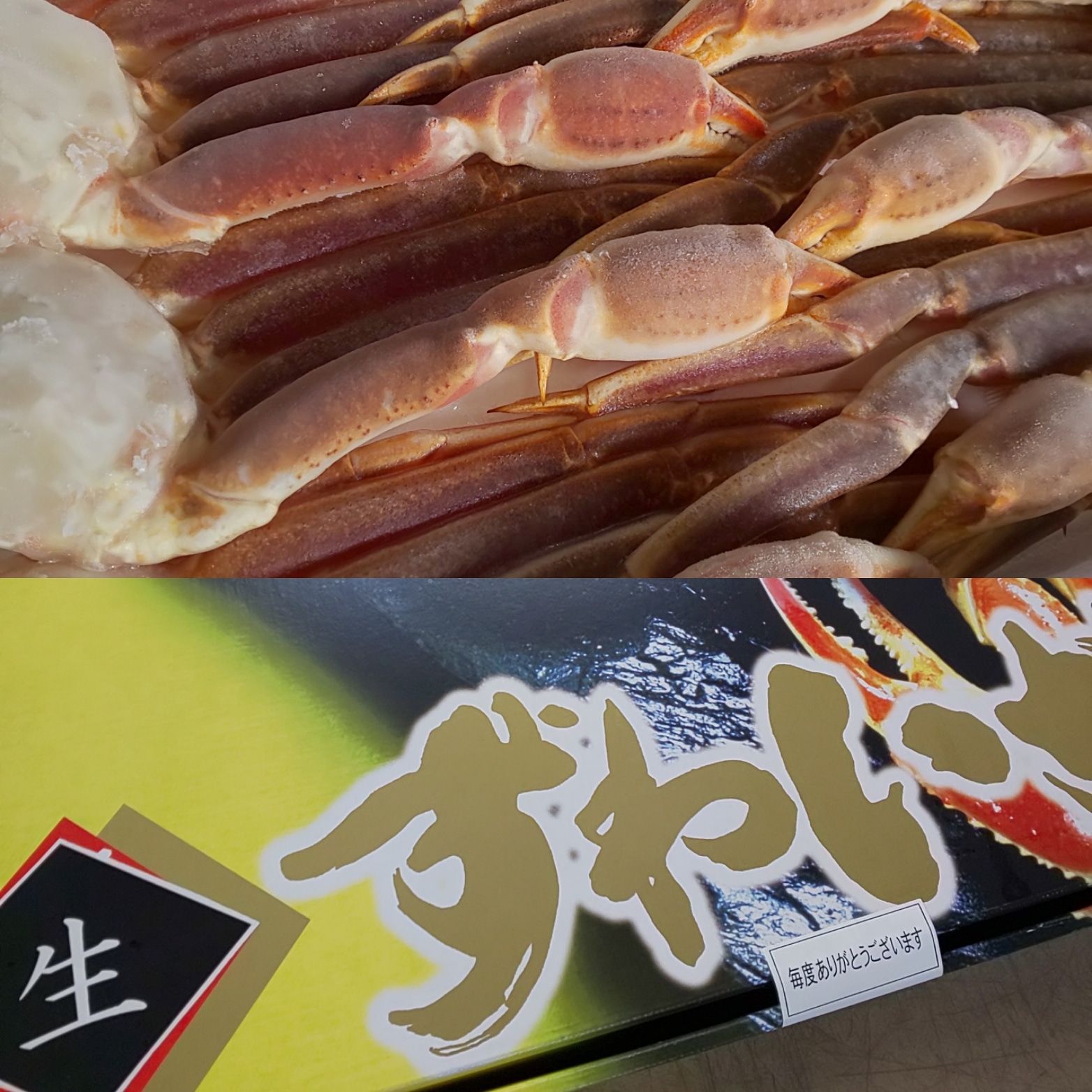 SEG 数学 代数・幾何のプロムナード 人気 #数学 #東大 #京大 #医学部