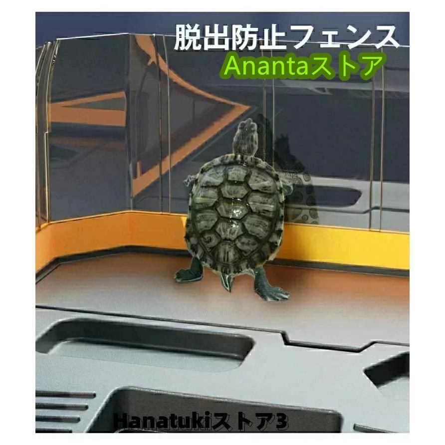 ミドリガメ ザリガニ