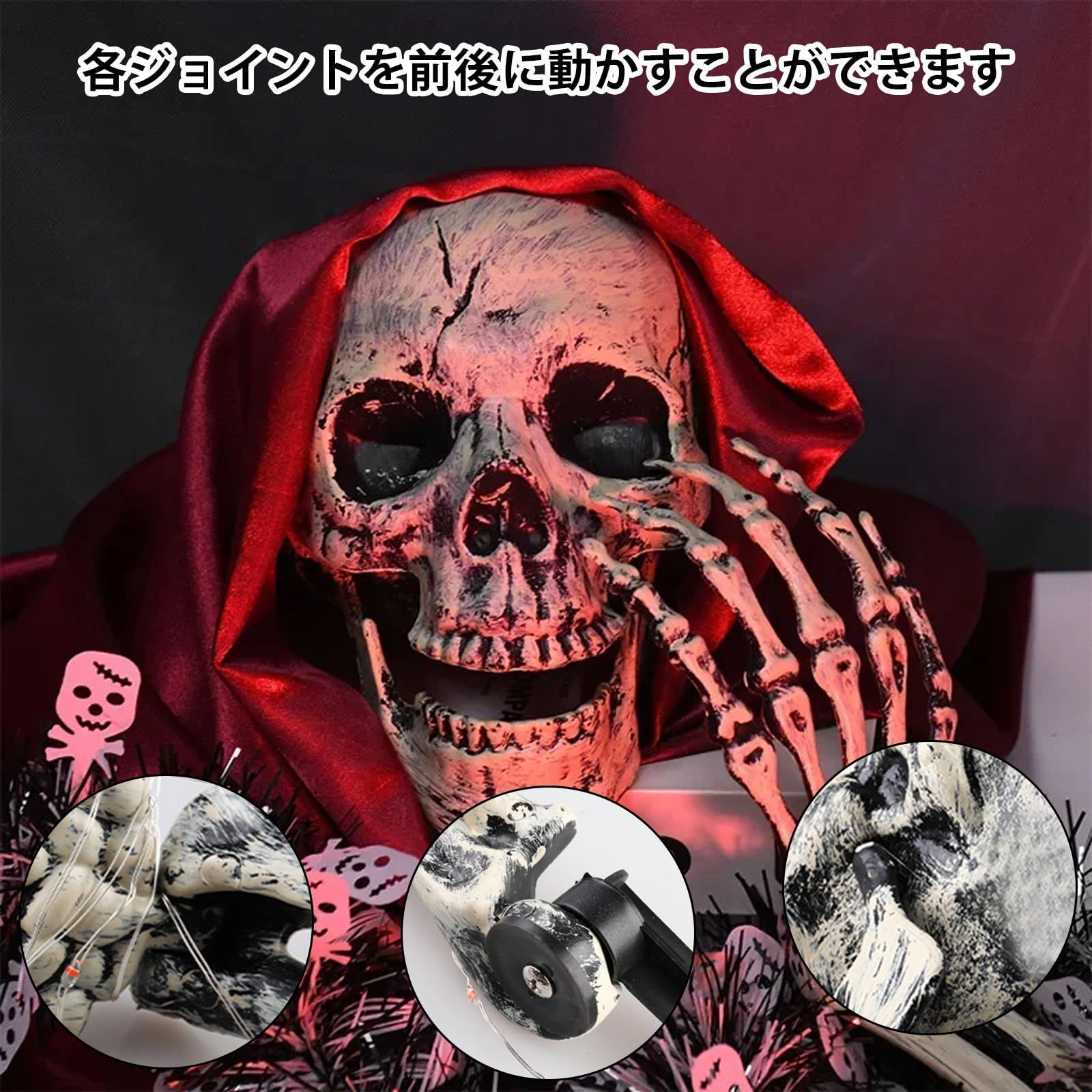 頭蓋骨 3点セット