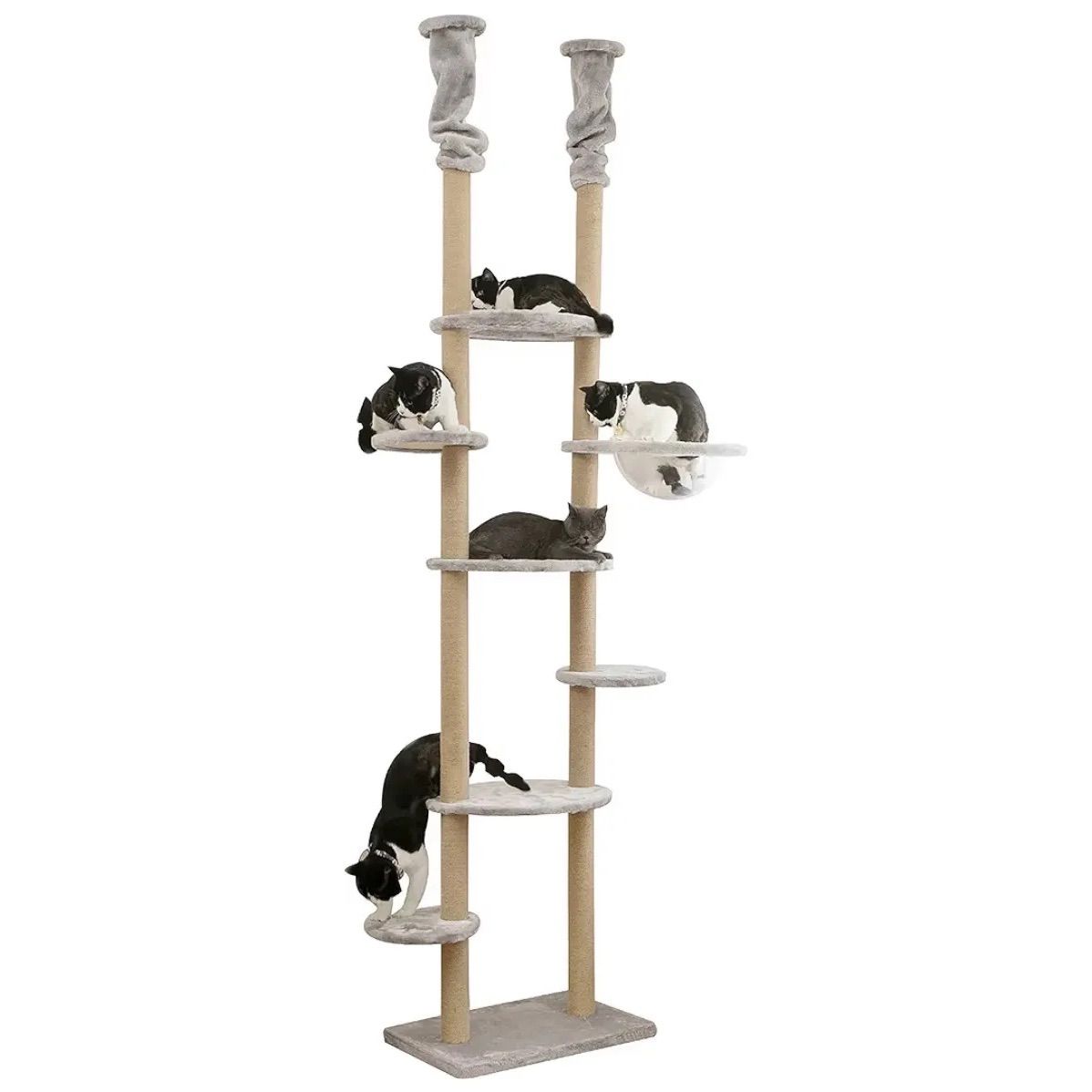 Mwpo 透明宇宙船 窓付きの透明ステップ 突っ張りタイプキャットタワー おうちで木登りタワー 多頭飼い 天然サイザル麻紐 爪とぎガリガリ 運動不足解消 ストレス解消 省スペース ポール ペット用品 ペットグッズ60×40×234~258cm