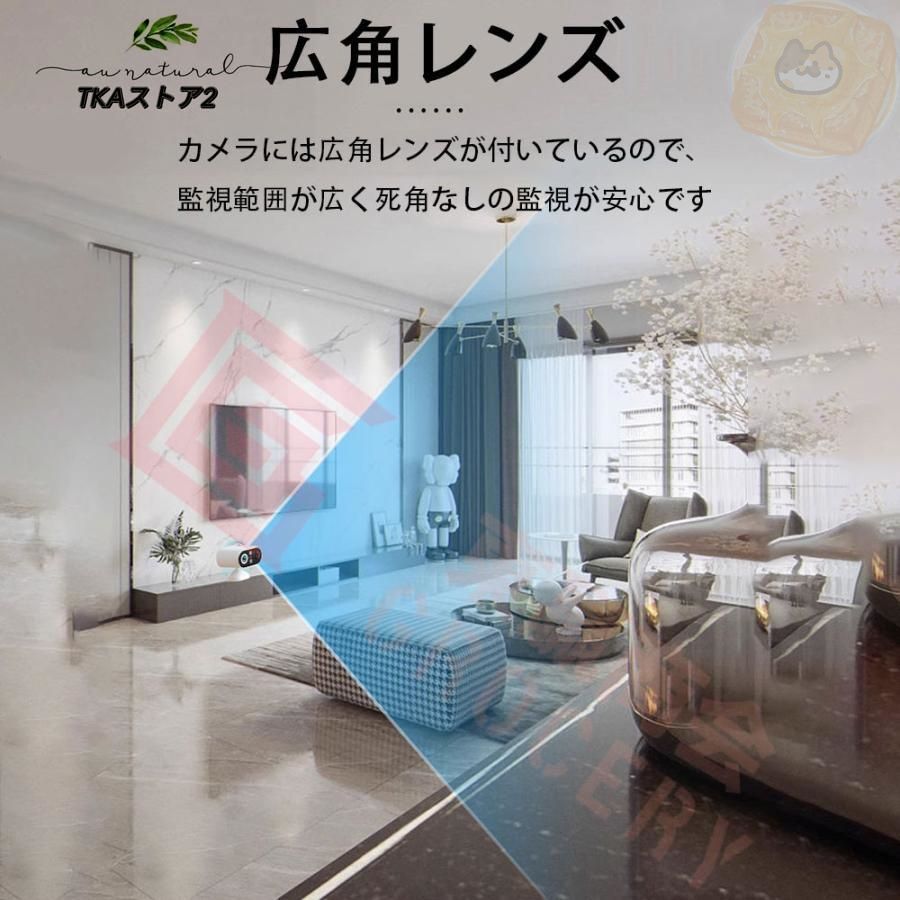 動体検知
