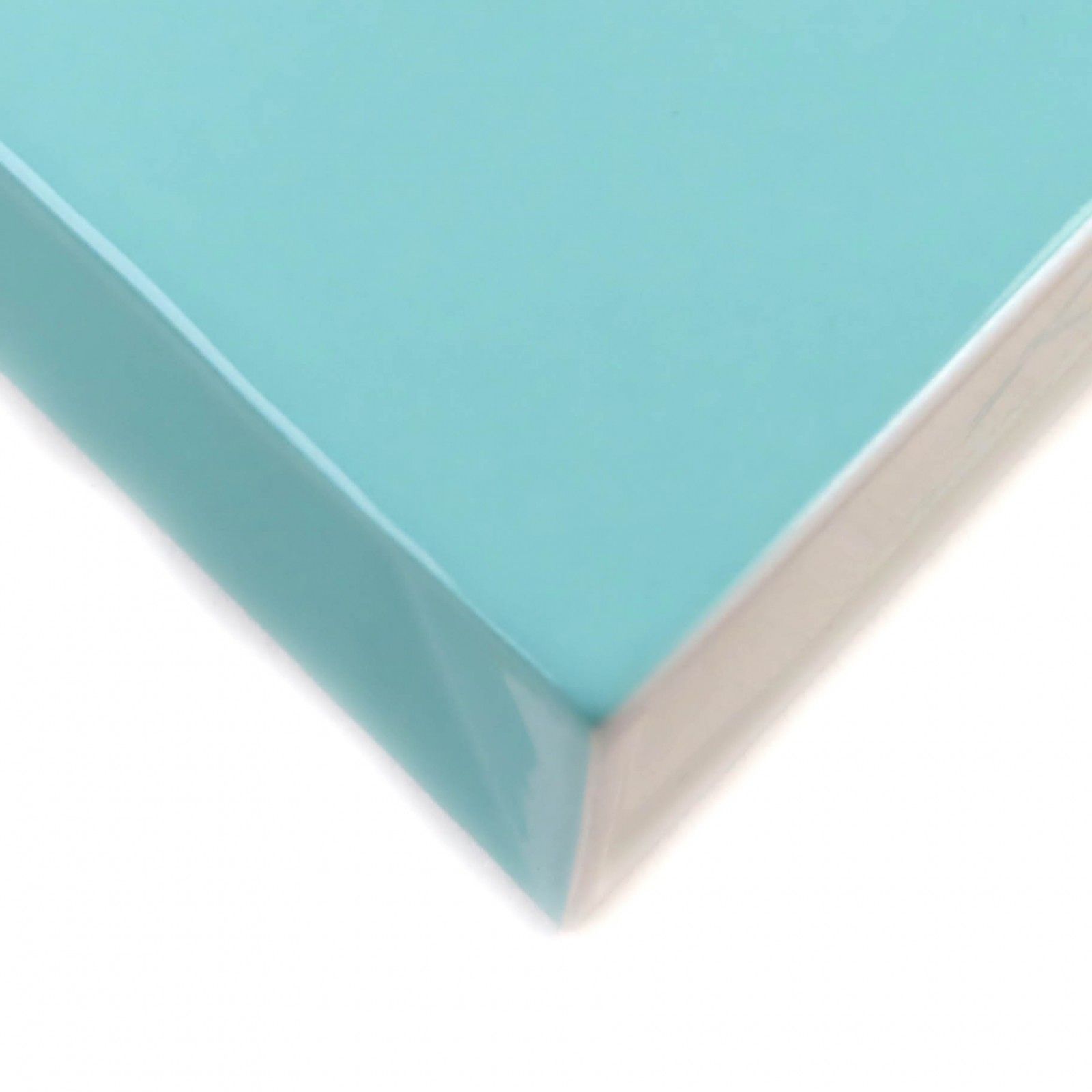 未使用品☆TIFFANY&Co. ティファニー ロゴ入り ショッピング