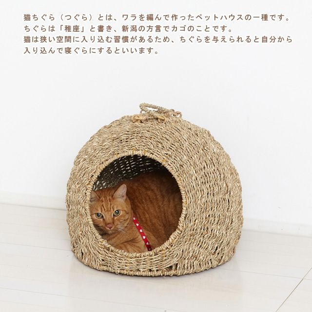 New ペットちぐら