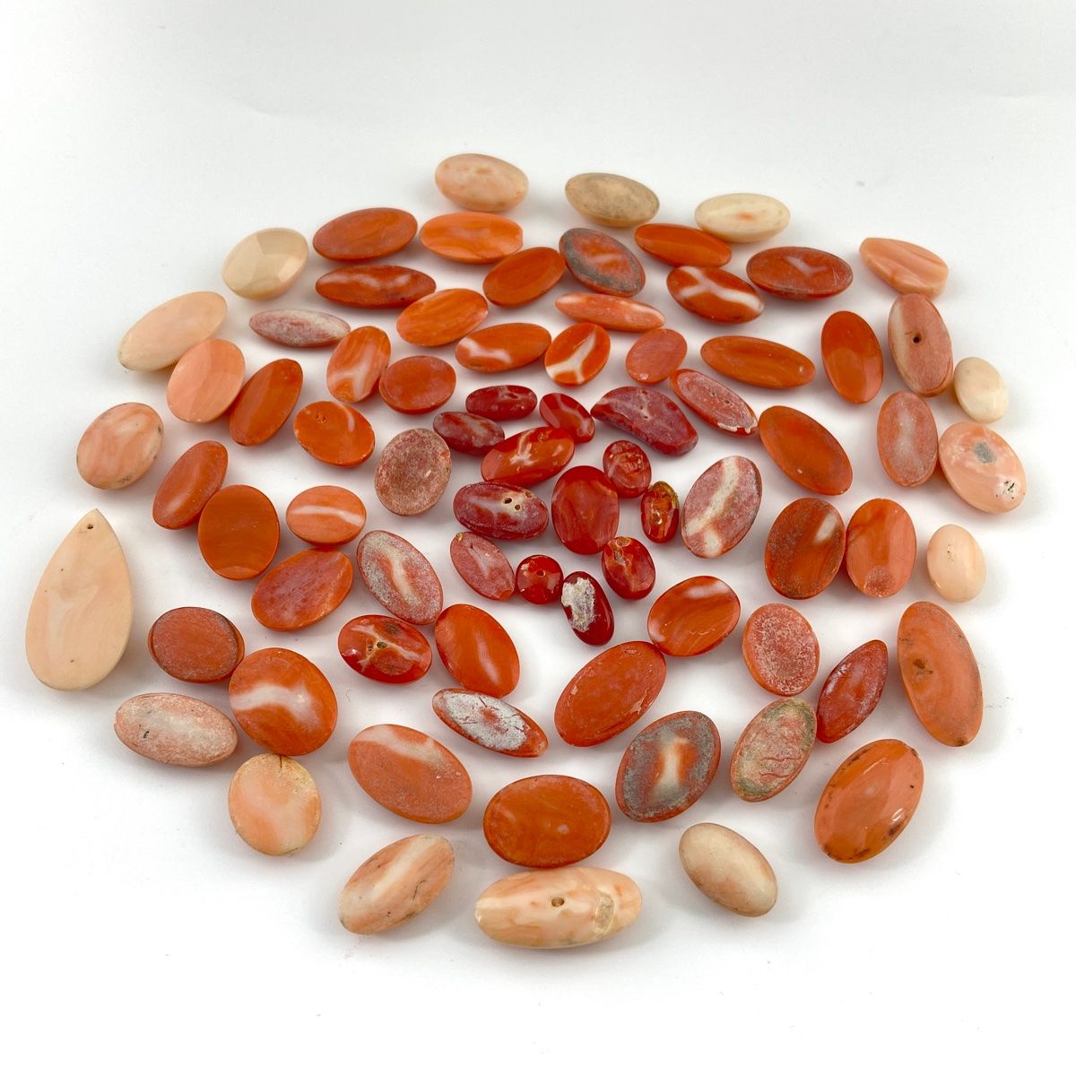 天然珊瑚ルース