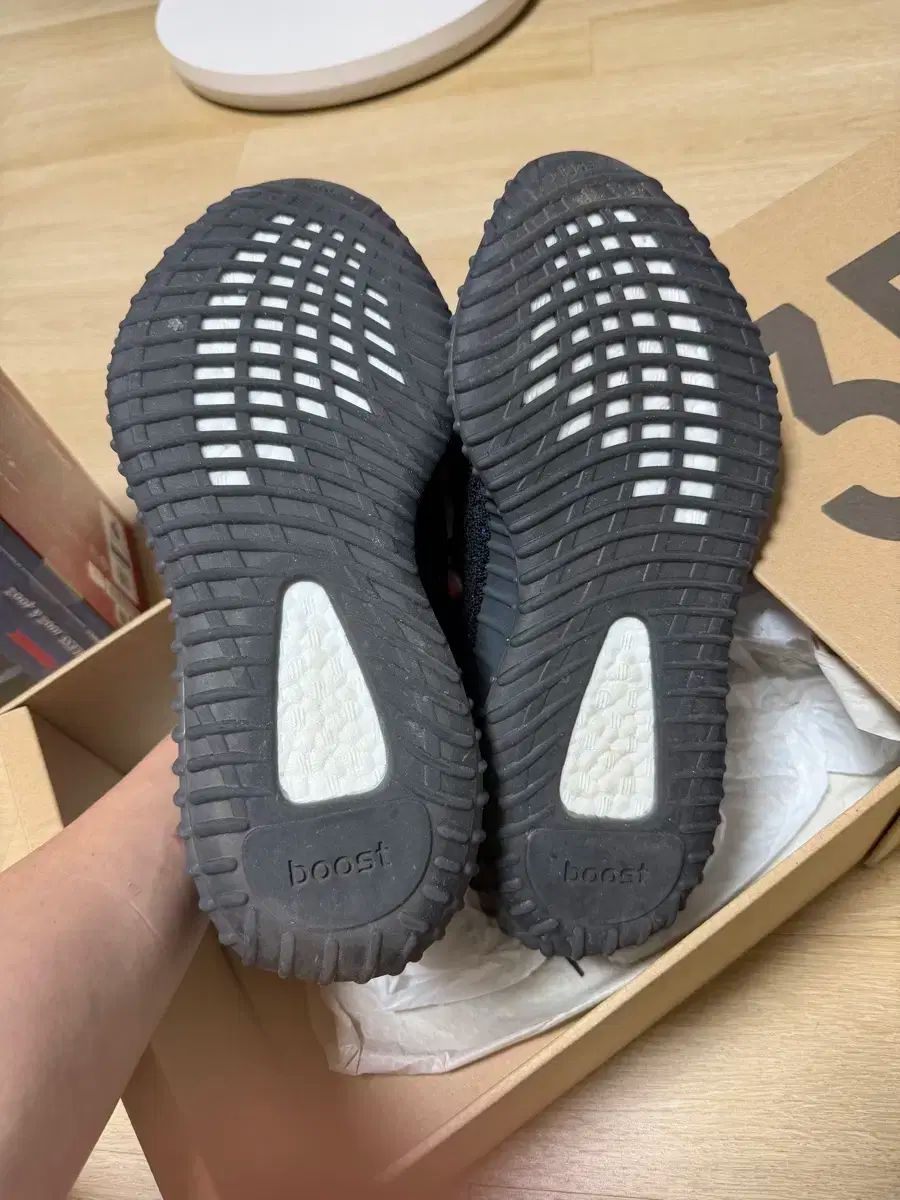 アディダス イージー 350 V 2 ダズリング ブルー 260