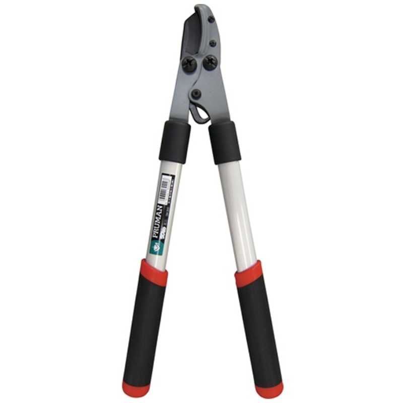 ダイワ小笠原二号クエ竿 人気