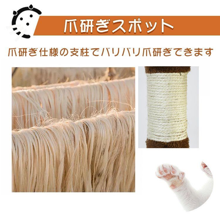キャットステップ