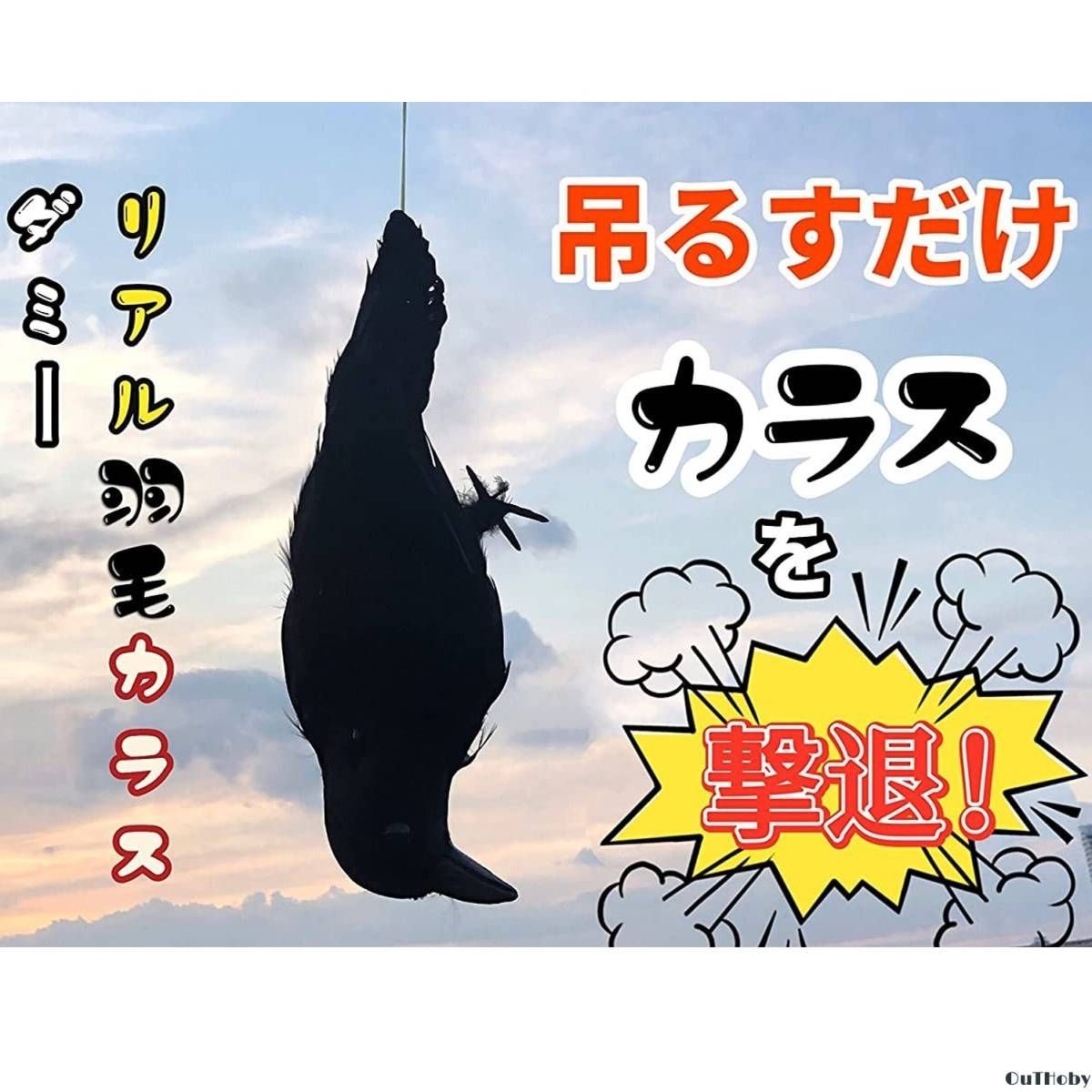 カラス撃退 2羽セット 原寸体サイズ カラスよけ 本物そっくり リアル 羽毛 カ