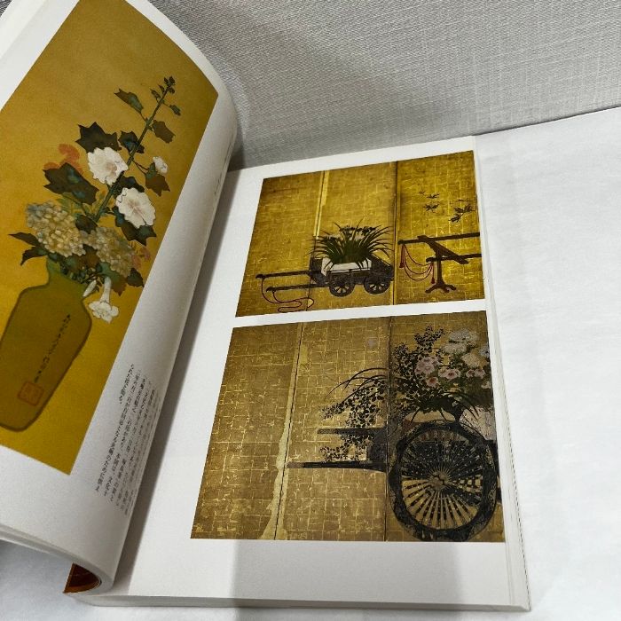 【美品】世界の博物館　講談社　全22巻別館1巻　セット出品其の一 特別展 花 1995年 東京国立博物館 図録 - メルカリ