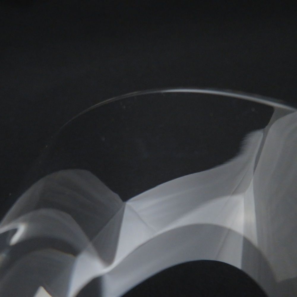 Baccarat バカラ ベルーガ タンブラー 2点 ペア ロックグラス ファッション SC9049G1 SKLAD-KIRPICHA_RU