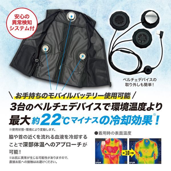 新品・7営業日以内発送】リンクサス Linxas IZPV-SETII-M アイズ