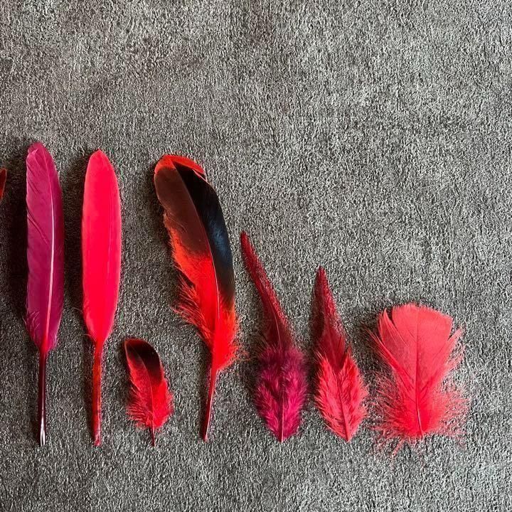 ◾️⭐︎【レッドセット】赤 フェザー 鳥の羽根 キジ 羽 鳥