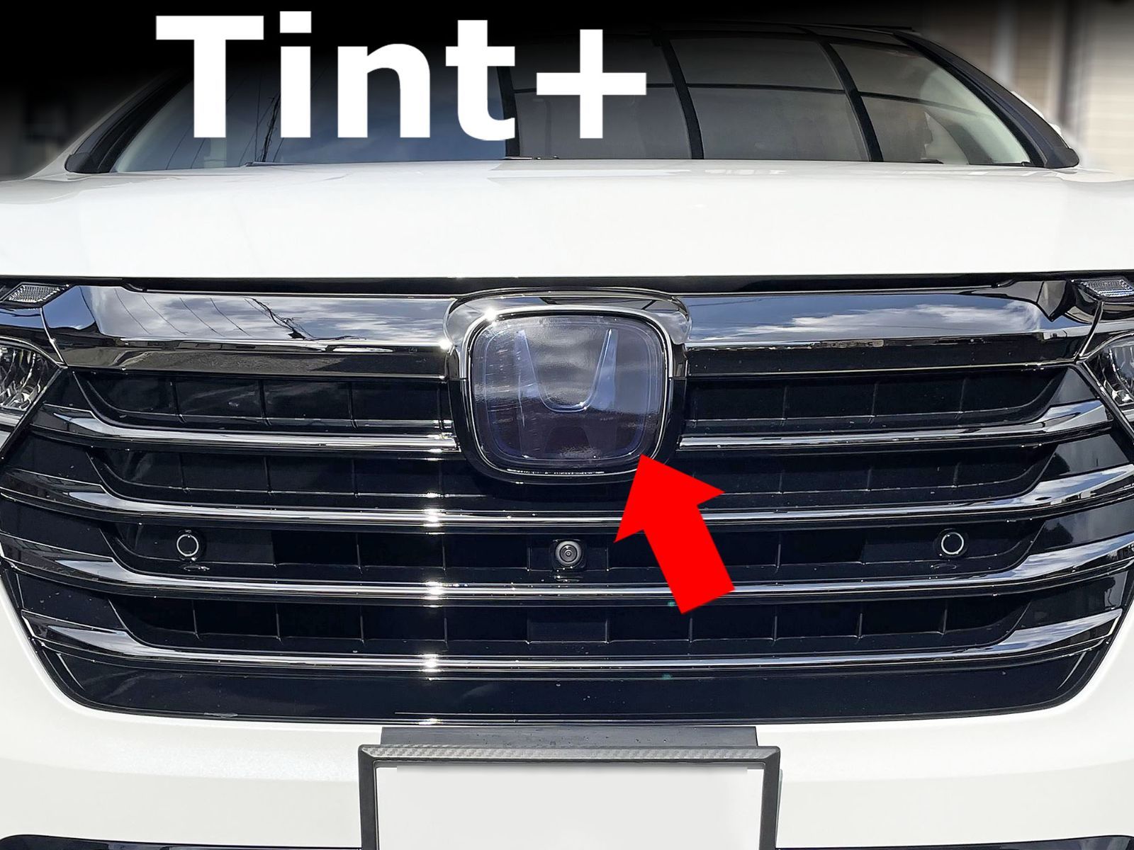Tint+再利用できる エンブレム スモークフィルム(スモーク20