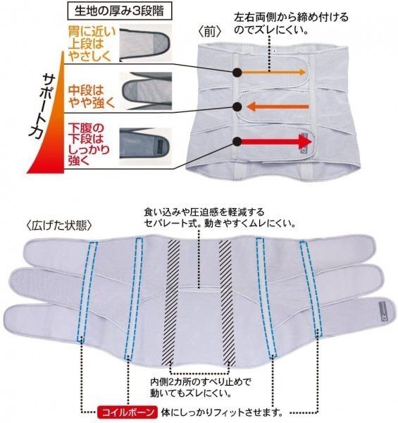 美姿勢ベルト 姿勢