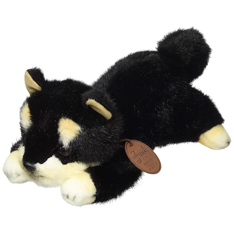 イヌ おねだりDOG