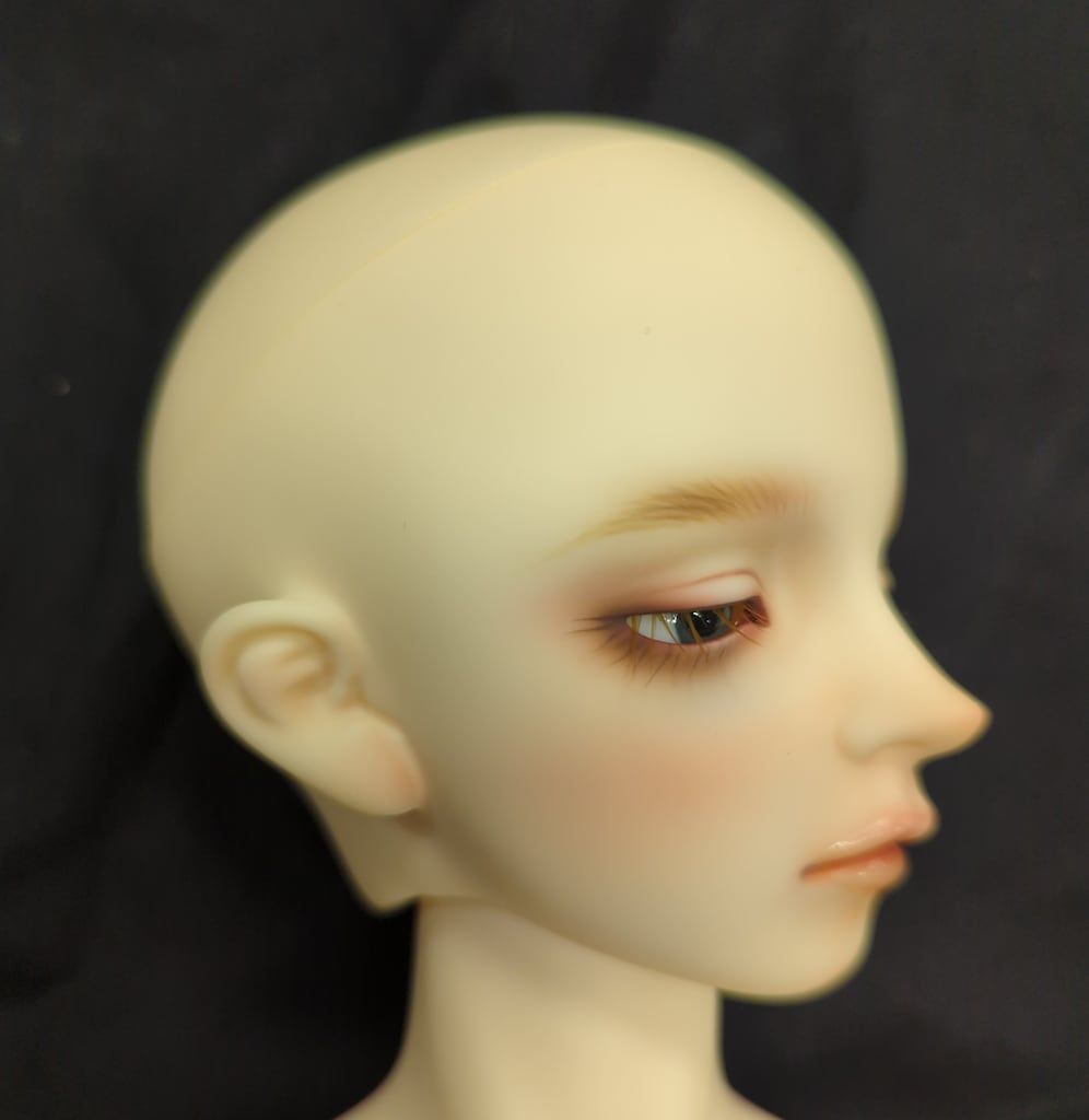星間学寮ver.