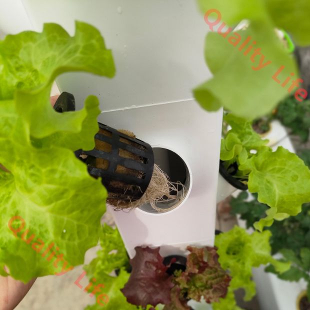 水耕栽培タワー 水耕栽培 屋外 屋内 垂直ガーデン ポンプと可動水タンク付きスマートガーデンキット ガーデニング愛好家への野菜植物ギフト