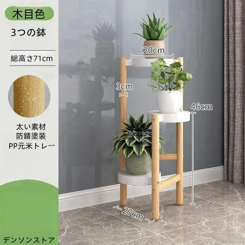 観葉植物 北