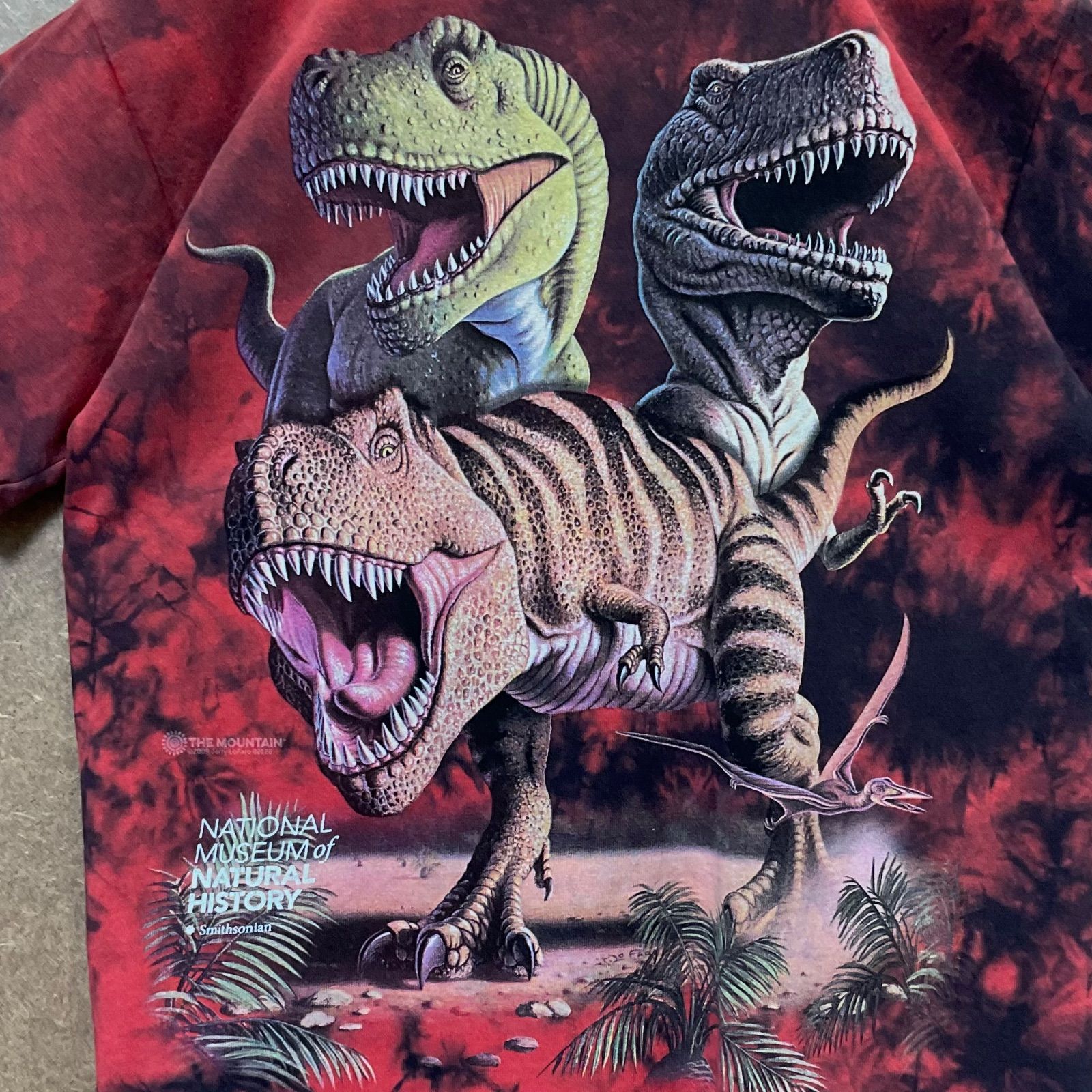  Tarrell　博物館　Tシャツ　ヴィンテージ　恐竜　半袖　ブラック 古着 80s USA製 Tyrannosaurus 「Tyrant Lizard」 恐竜 骨