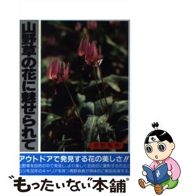 中古】 山野草の花に魅せられて 野原や山に咲く花の鑑賞と撮影テクニック (フォトアート写真入門) / 青野恭典 / 研光新社 - メルカリ