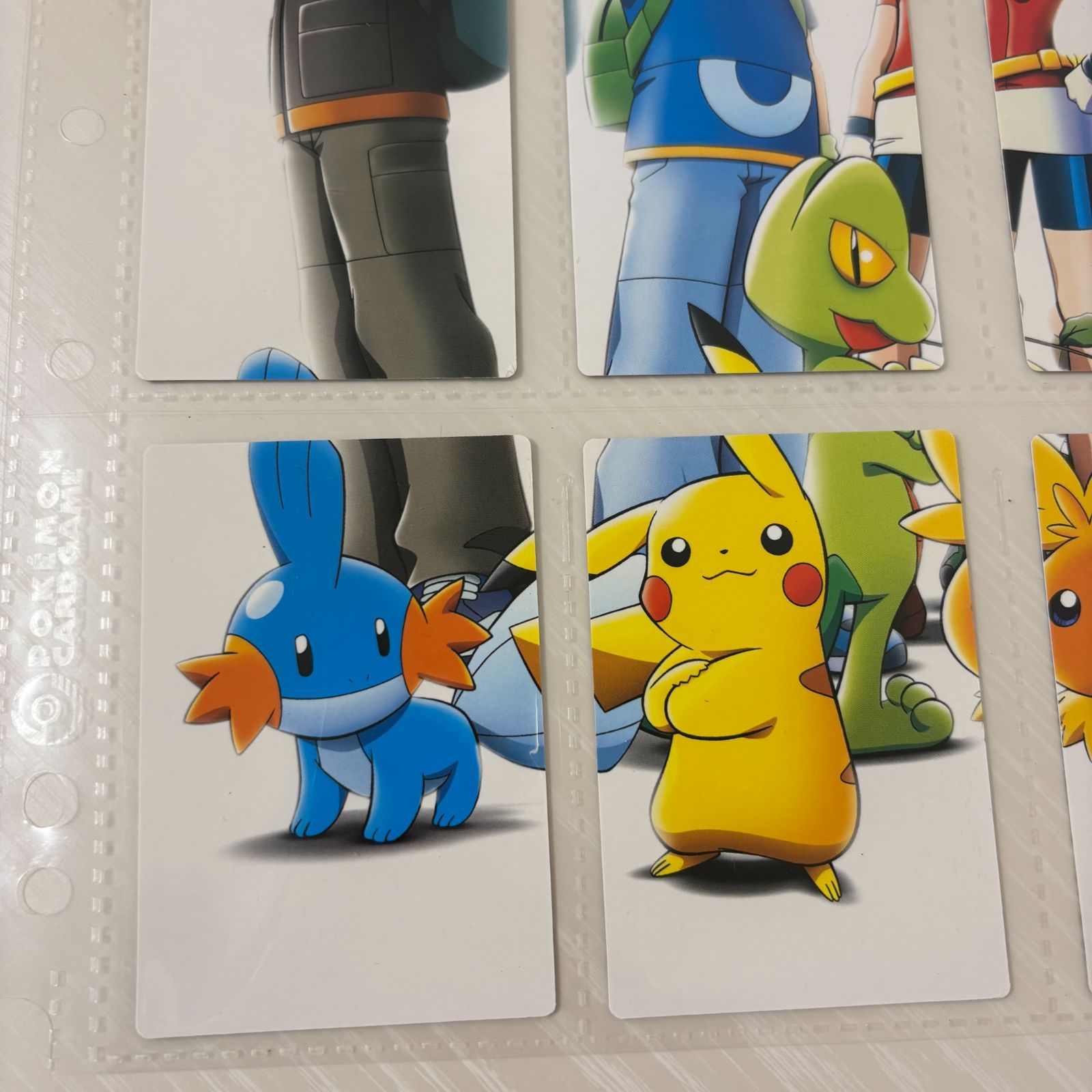 ポケモンカードダス ポケモンずかんカード コンプリートセット