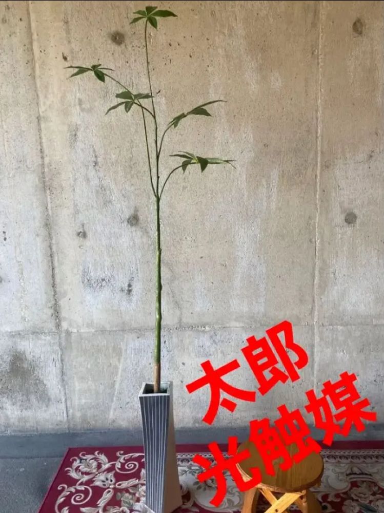 光触媒人工観葉植物ウォールグリーンフェイクフラワーハンドメイド