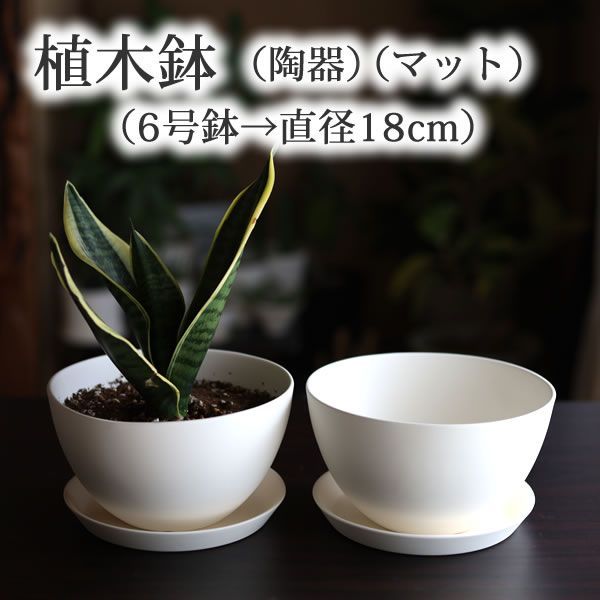(6号鉢) 白い陶器の植木鉢 (マット) (ボールタイプ) (受け皿付き)
